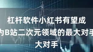 杠杆软件小红书有望成为B站二次元领域的最大对手